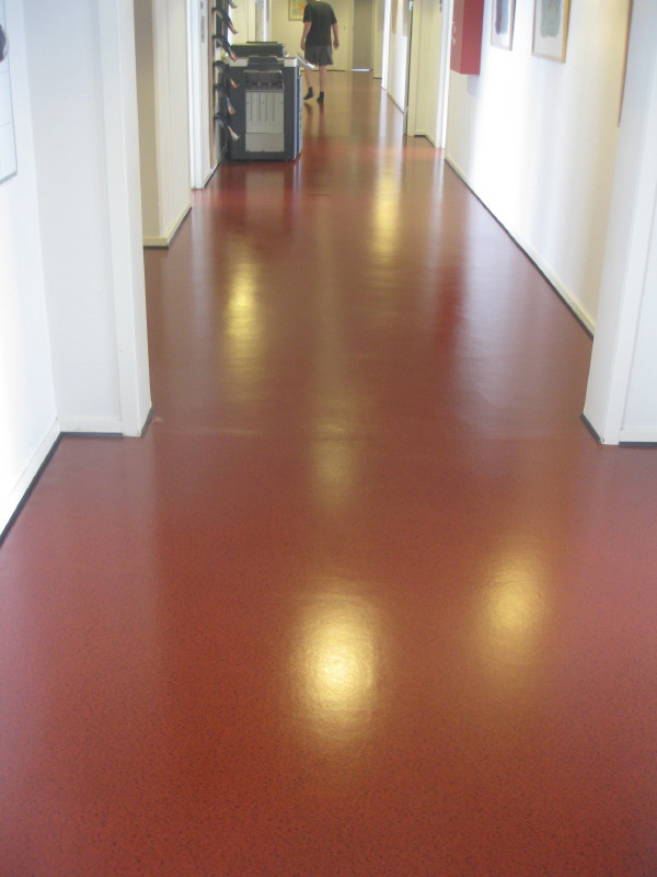 Linoleum Floor Restoration