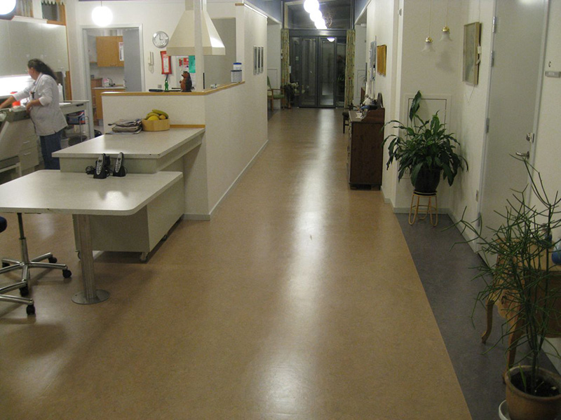Linoleum Floor Treatment in Care Home